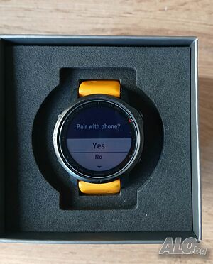 Garmin Fenix 6S