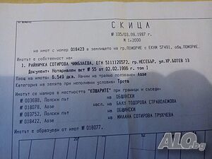 image_7