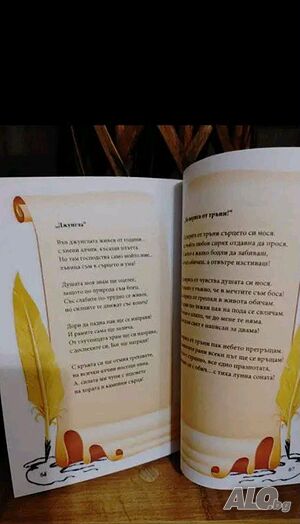 image_4