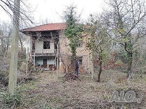 image_9