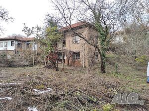 image_10
