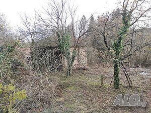 image_11