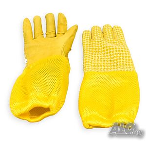image_5