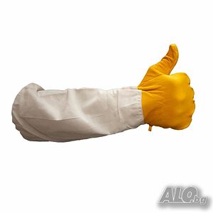 image_8
