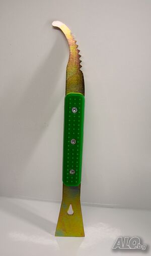 image_8