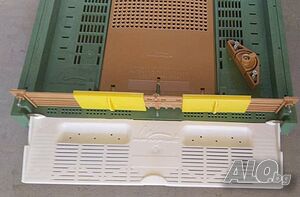 image_6