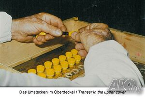 image_6