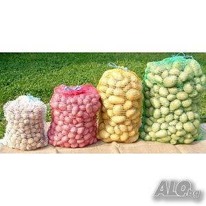 image_9
