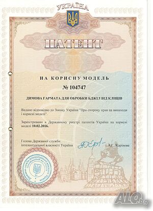 image_8