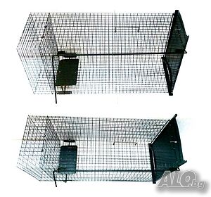 image_8