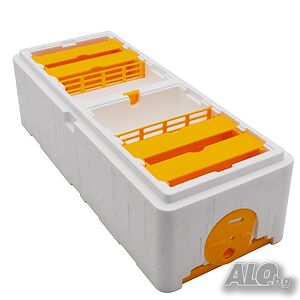 image_2