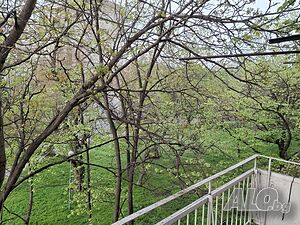 image_15