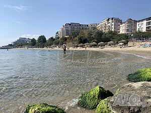 image_14