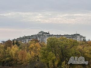 image_11
