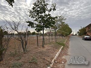 image_7