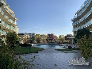 image_12