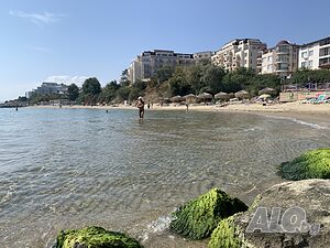 image_13