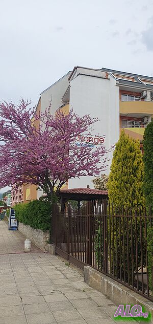 image_12