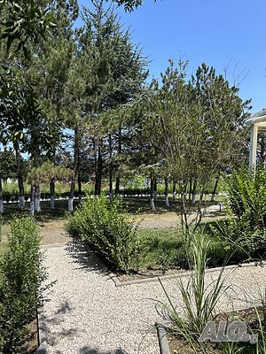 image_15
