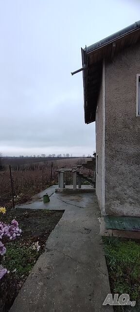 image_11