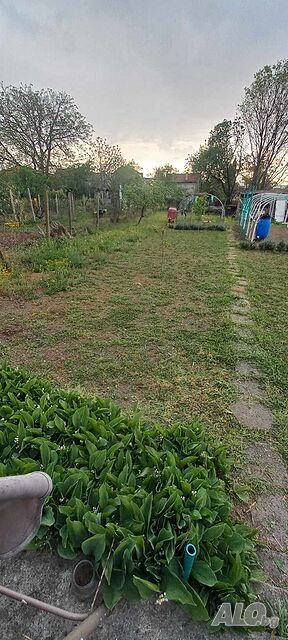 image_8