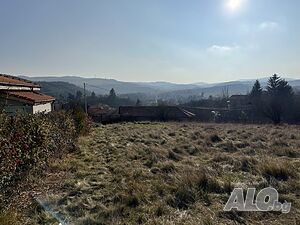 image_8