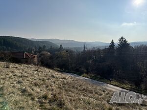 image_11