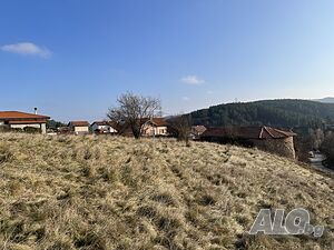 image_12