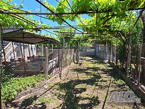 image_10