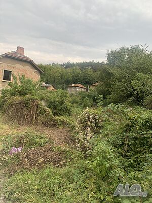 Почистване на дворове, парцели и обрасли терени
