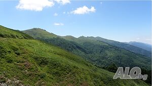 Парцел, гр. Петрич