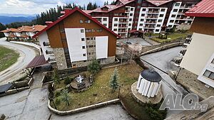 image_11