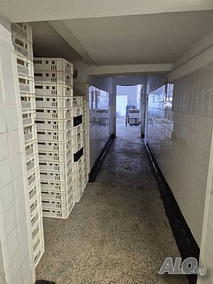 image_7
