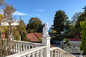 image_25