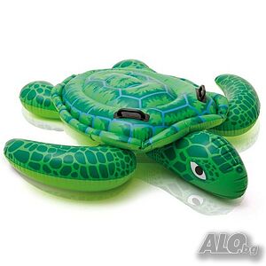 image_4