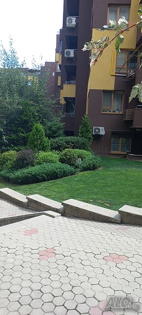 image_2
