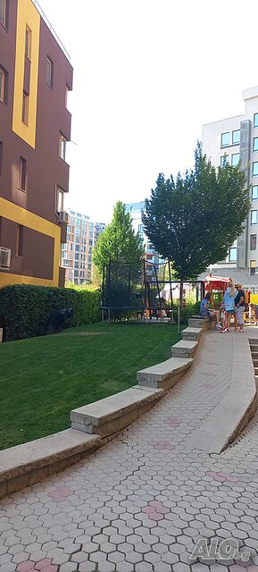 image_5