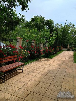 image_8