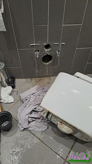 image_4