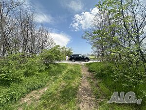 image_3