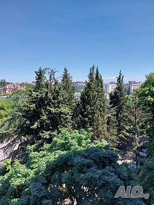 Продава апартамент две стаи и кухня до Кучешката градина