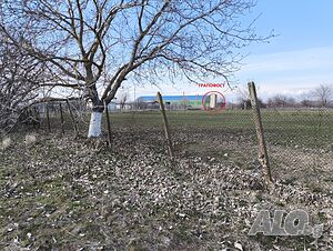 image_11