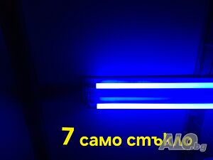 image_12