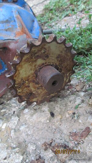 image_7