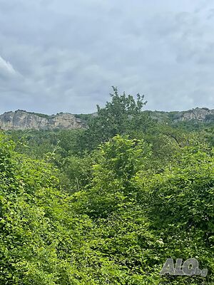 Ексклузивно! Парцел село Кюлевча