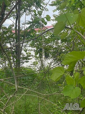 image_3
