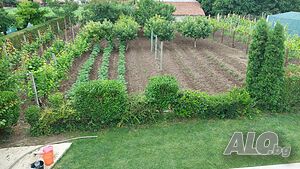 image_15