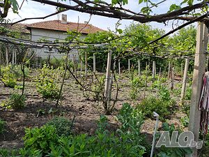 image_6