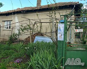 image_11