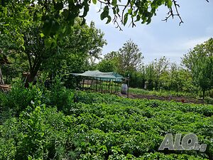 image_12